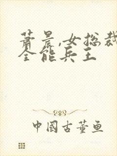 萧晨,女总裁的全能兵王