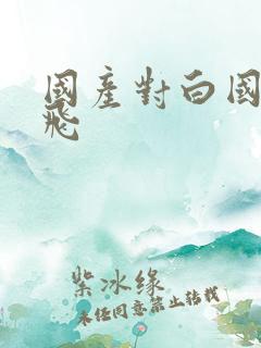 国产对白国语双飞