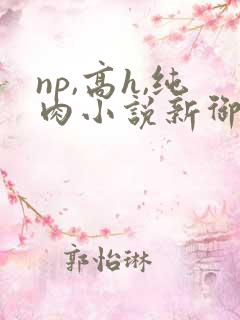 np,高h,纯肉小说新御书屋