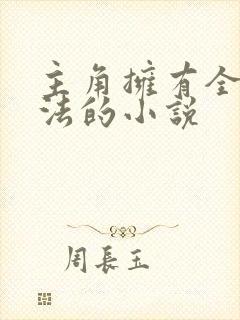 主角拥有全系魔法的小说
