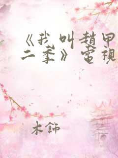 《我叫赵甲第第二季》电视剧免费看