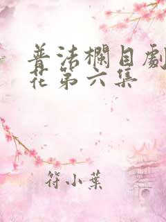 普法栏目剧秀豆花第六集