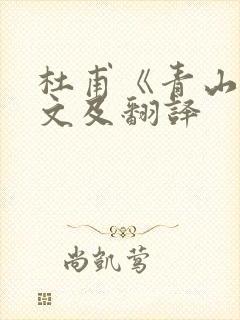 杜甫《青山》原文及翻译