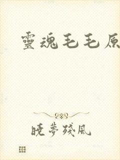 灵魂毛毛原文