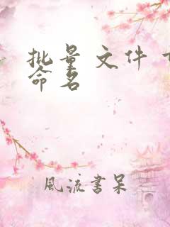批量 文件 重命名