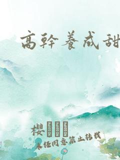 高干养成甜宠文
