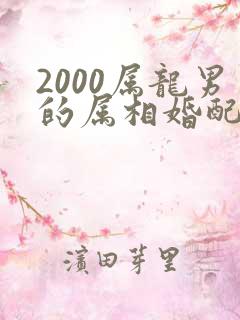 2000属龙男的属相婚配表