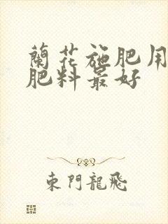兰花施肥用什么肥料最好