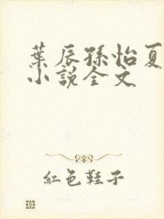 叶辰孙怡夏若雪小说全文