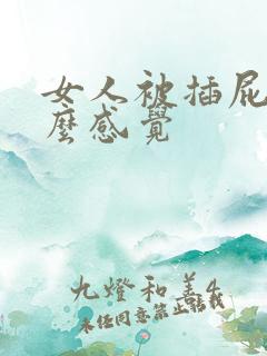 女人被插屁眼什么感觉