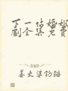下一站婚姻连续剧全集免费观看