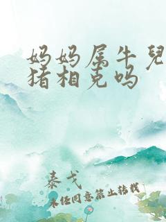 妈妈属牛儿子属猪相克吗