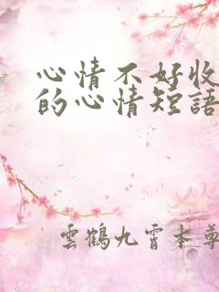 心情不好收到花的心情短语