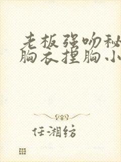 老板强吻秘书撕胸衣捏胸小说