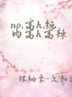 np,高h,纯肉高h高辣