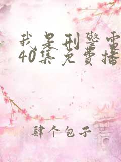 我是刑警电视剧40集免费播放
