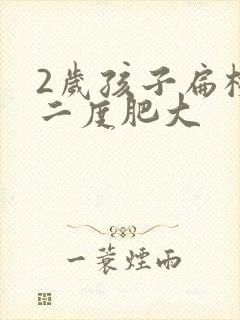 2岁孩子扁桃体二度肥大