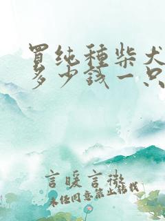买纯种柴犬幼犬多少钱一只
