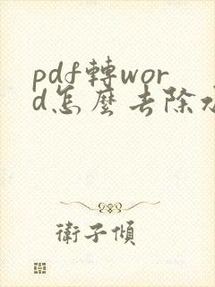 pdf转word怎么去除水印