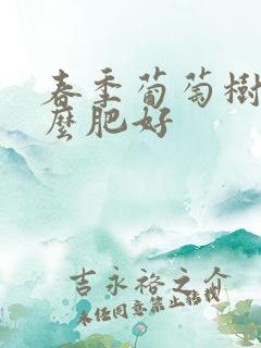 春季葡萄树施什么肥好