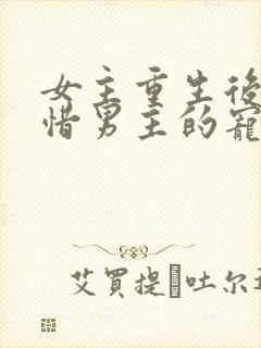 女主重生后悔珍惜男主的宠文