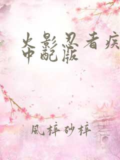 火影忍者疾风传中配版