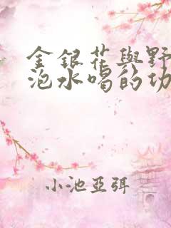 金银花与野菊花泡水喝的功效与禁忌