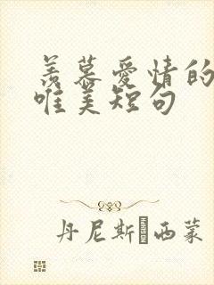 羡慕爱情的句子唯美短句