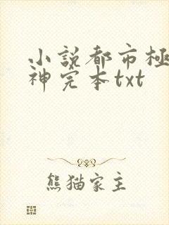 小说都市极品医神完本txt