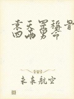 袁天罡称骨算命四两男命