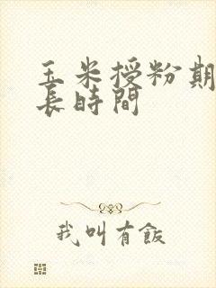 玉米授粉期是多长时间