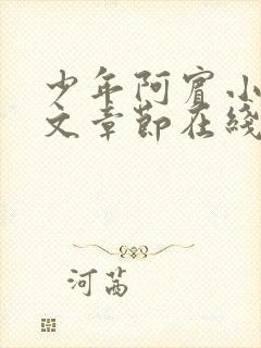 少年阿宾小说全文章节在线观看