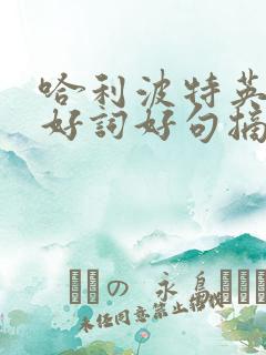 哈利波特英语版好词好句摘抄