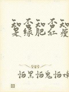 知否知否知否应是绿肥红瘦是哪个季节