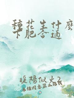 种花生什么时候下肥合适