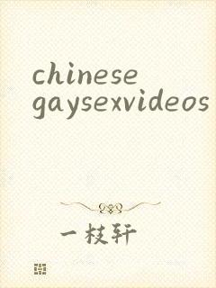 chinesegaysexvideos