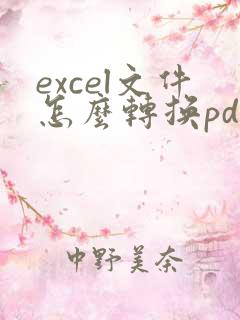 excel文件怎么转换pdf格式多页文件