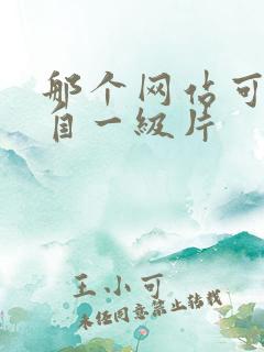 那个网站可以看自一级片