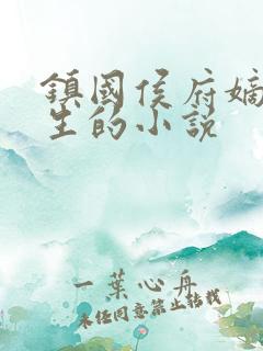 镇国侯府嫡女重生的小说