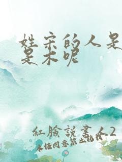 姓宋的人是金还是木呢