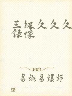 三级久久久黄色录像