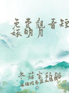 免费观看短剧二嫁明月