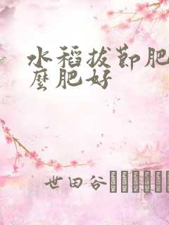 水稻拔节肥施什么肥好