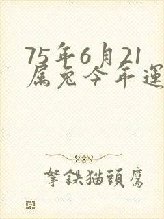 75年6月21属兔今年运气
