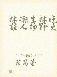 林潮生林晚晚小说人物野火txt