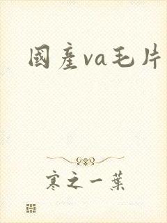 国产va毛片