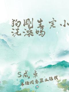 狗刚生完小狗能洗澡吗