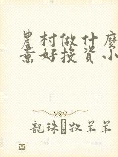 农村做什么小生意好投资小见效快的生意