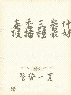 春季玉米什么时候播种最好