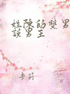 姓陈的双男主小说男主